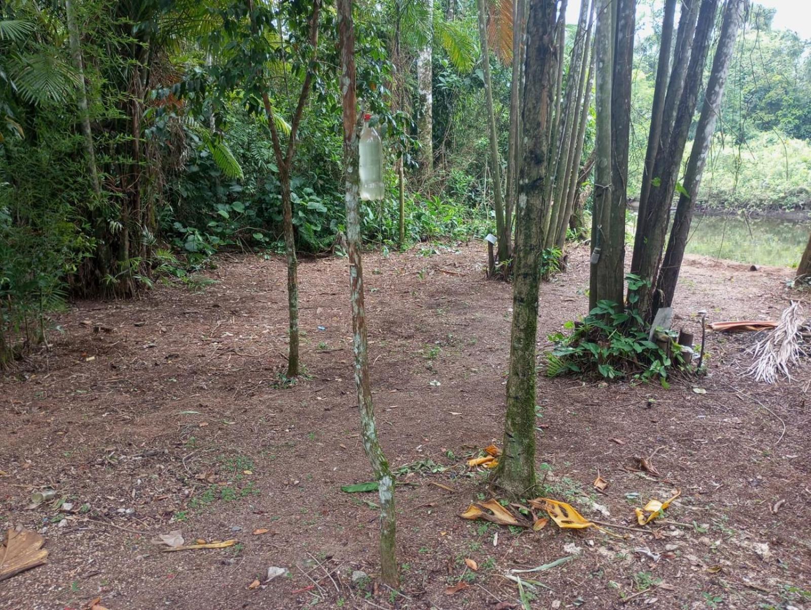 Camping Monte Hermom Ubatuba Exterior photo